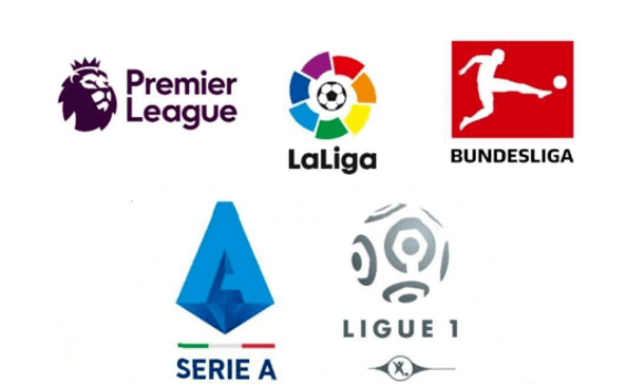 式多样化 式多样化